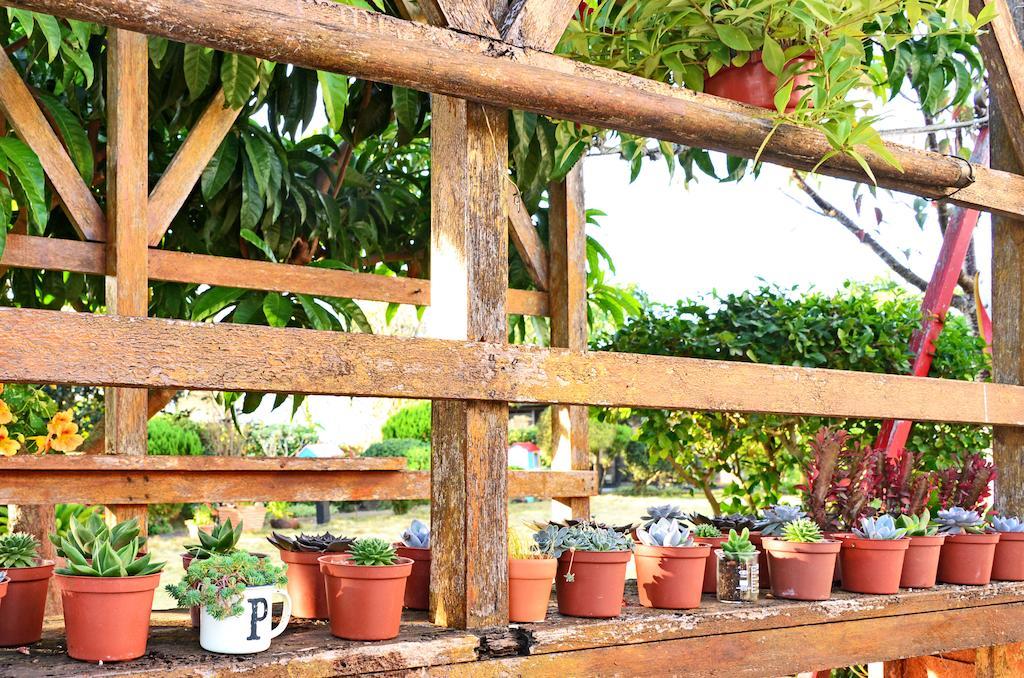 Taichung Xinshe Garden Life Homestay B&B Exterior photo