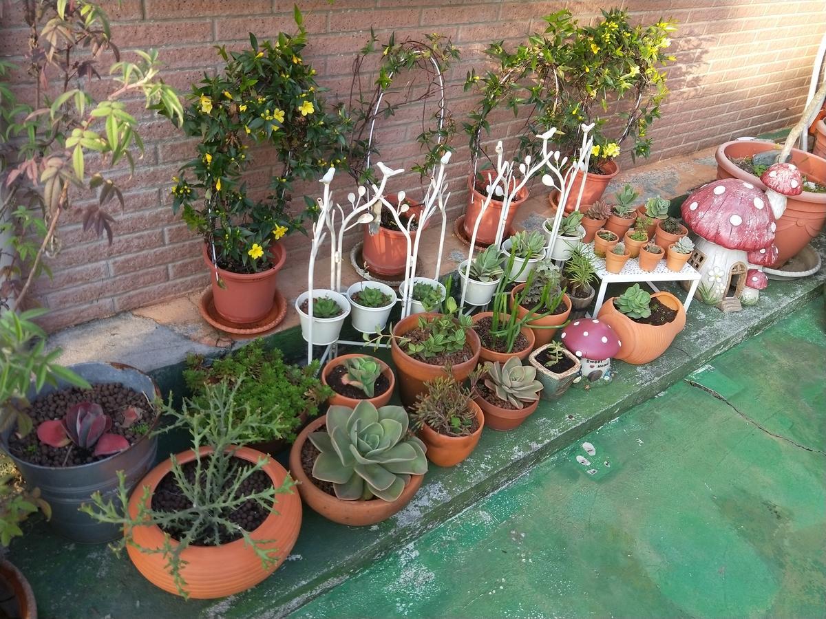 Taichung Xinshe Garden Life Homestay B&B Exterior photo