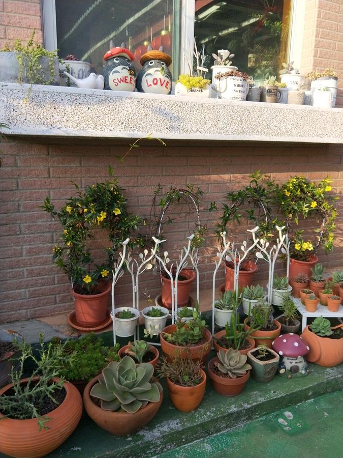 Taichung Xinshe Garden Life Homestay B&B Exterior photo